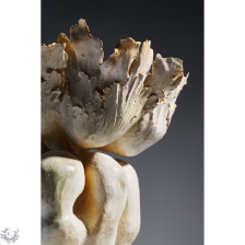 Natalia Abramishvili. The World of Fungi