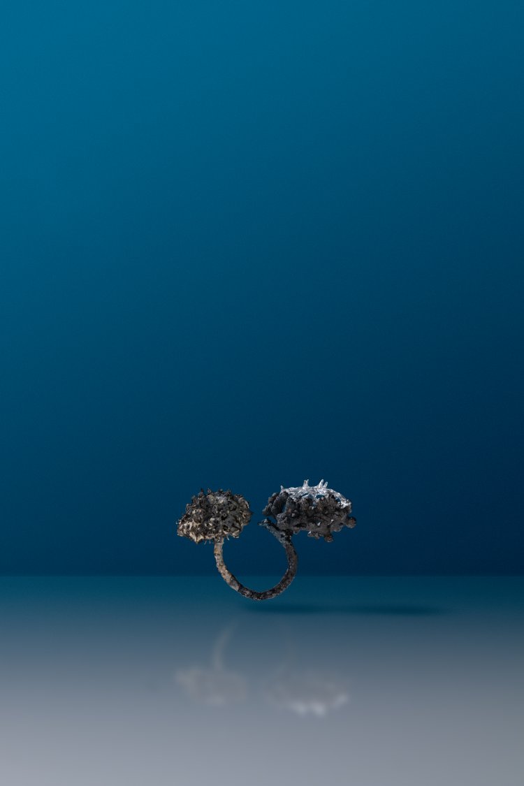 Microcosmic Majesty Ring #12 by Suri and Simone Crestani