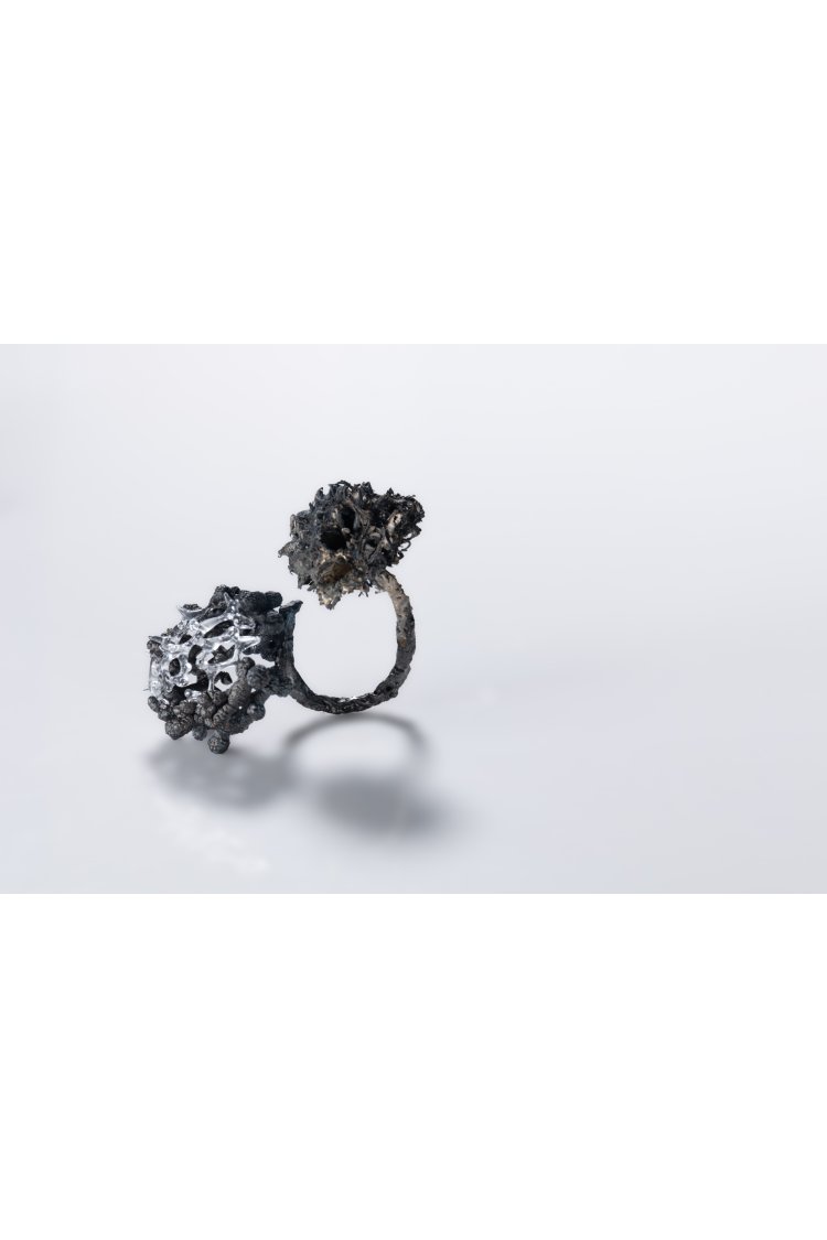 Microcosmic Majesty Ring #12 by Suri and Simone Crestani