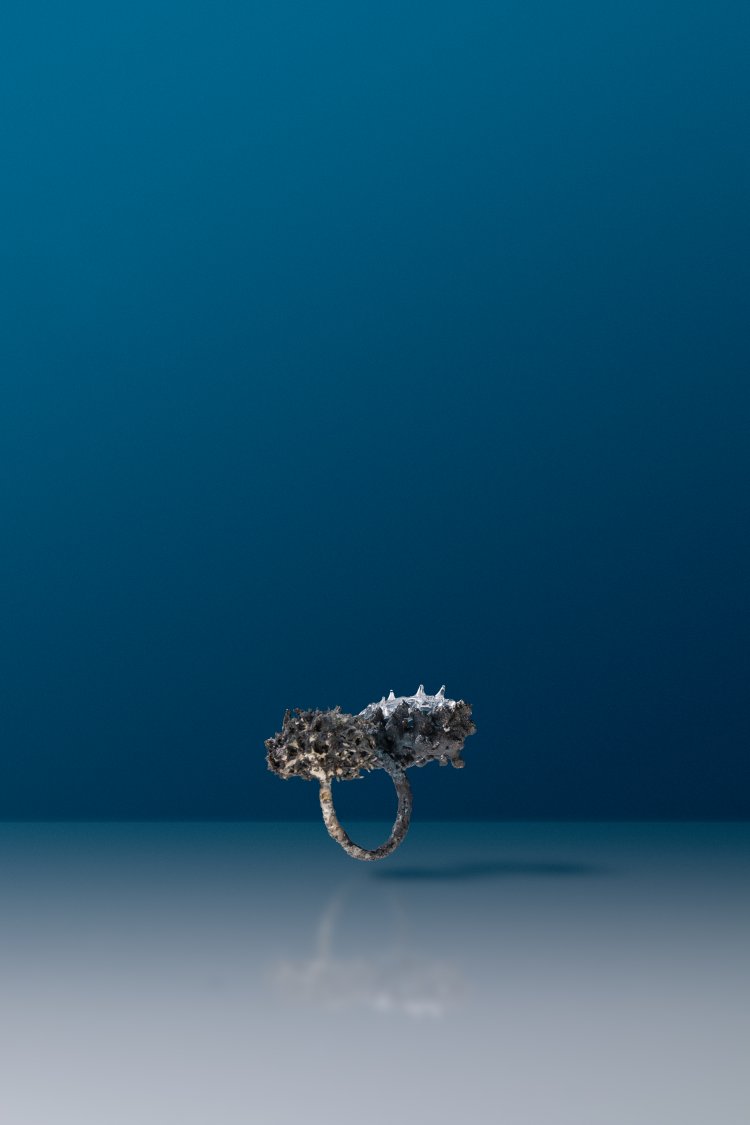 Microcosmic Majesty Ring #12 by Suri and Simone Crestani